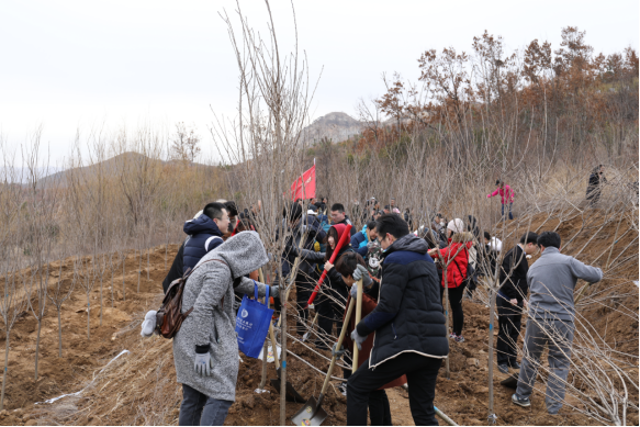 威海城投组织开展义务植树活动2.png