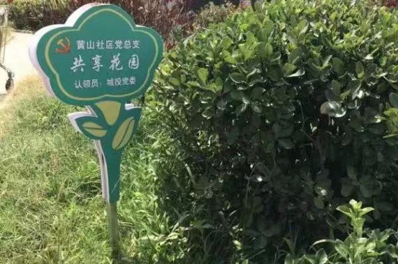 1589340946189.png 城投集团党委联合共建单位开展志愿服务活动9.png