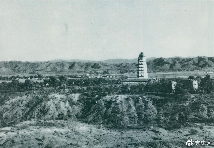 1639013340013.jpg 1639013340013.jpg