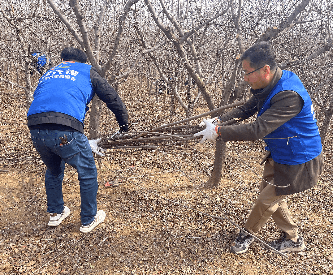 1741767665256.png 1741767665256.png