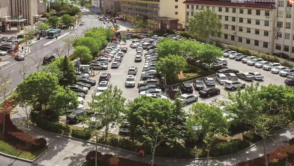 1746493797233.jpg 1746493797233.jpg